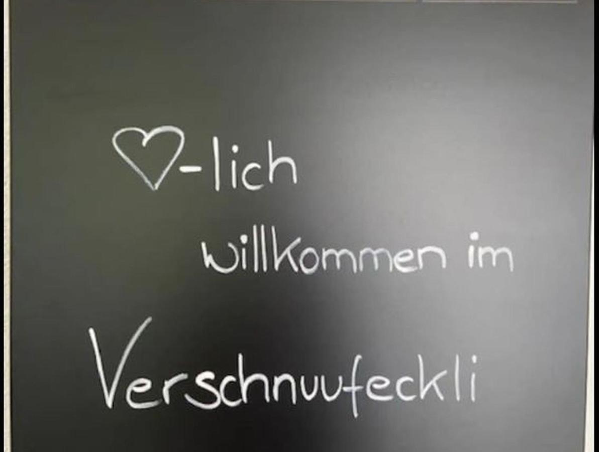Ferienwohnung Verschnuufeckli Wehr  Dış mekan fotoğraf